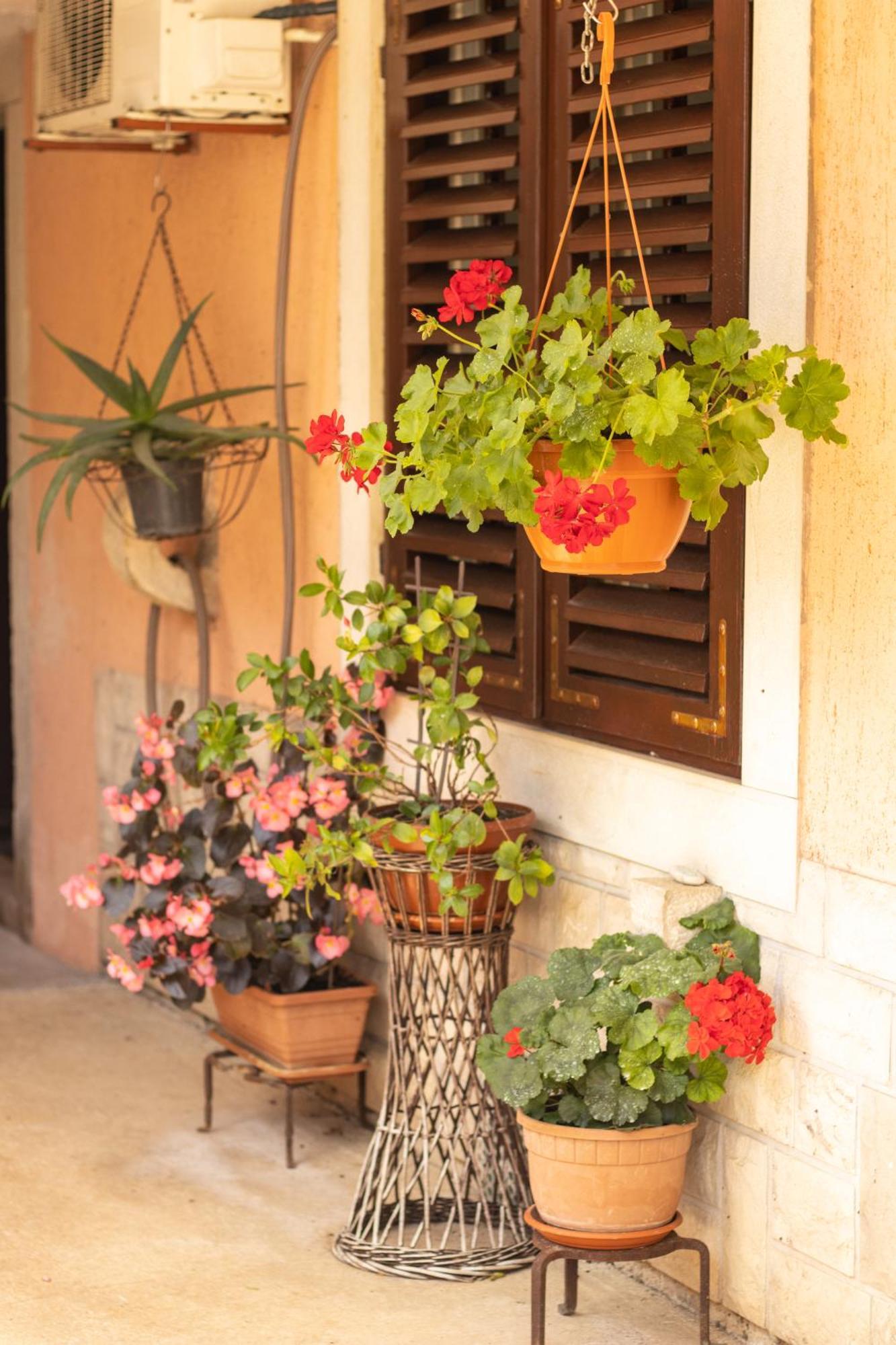 Rakalj Apartment Trsina מראה חיצוני תמונה